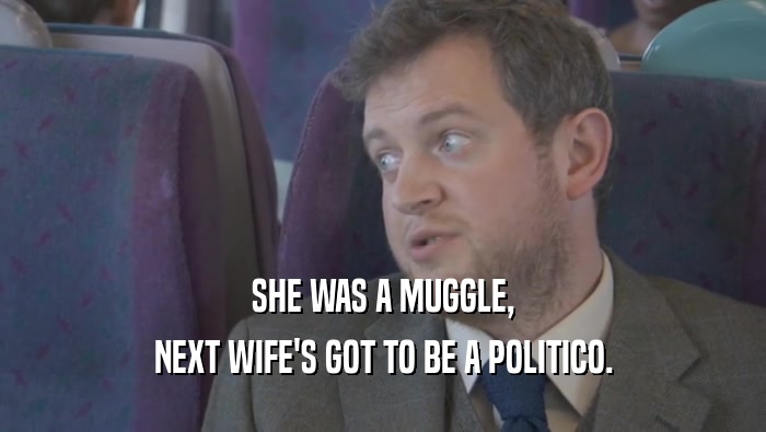 SHE WAS A MUGGLE,
 NEXT WIFE'S GOT TO BE A POLITICO.
 
