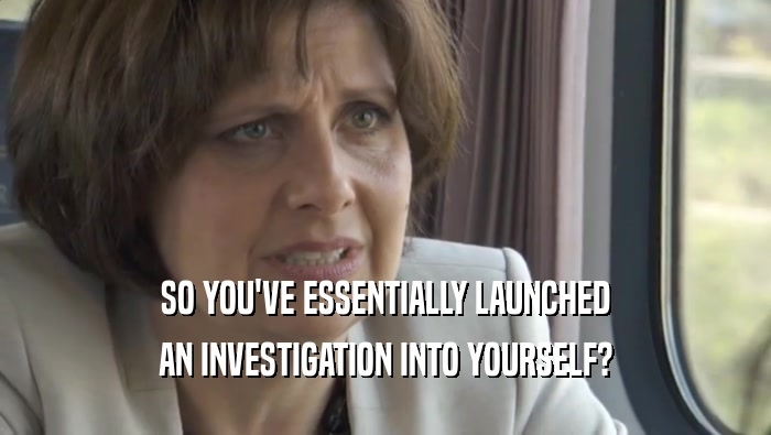 SO YOU'VE ESSENTIALLY LAUNCHED AN INVESTIGATION INTO YOURSELF? 