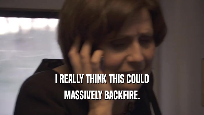 I REALLY THINK THIS COULD MASSIVELY BACKFIRE. 