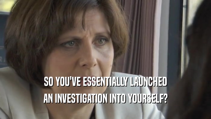 SO YOU'VE ESSENTIALLY LAUNCHED AN INVESTIGATION INTO YOURSELF? 
