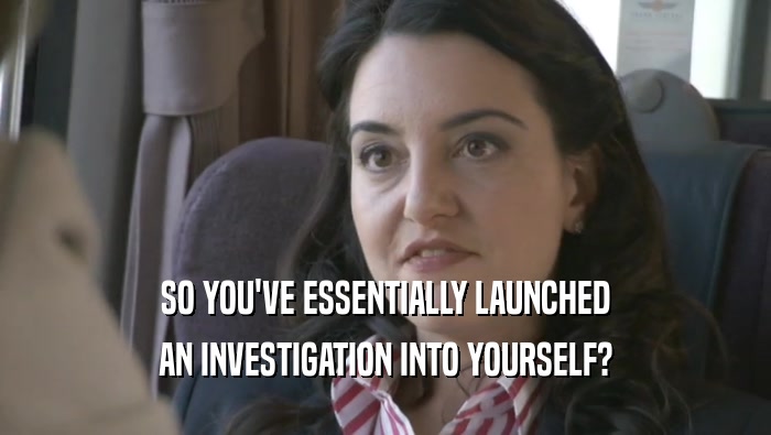 SO YOU'VE ESSENTIALLY LAUNCHED AN INVESTIGATION INTO YOURSELF? 