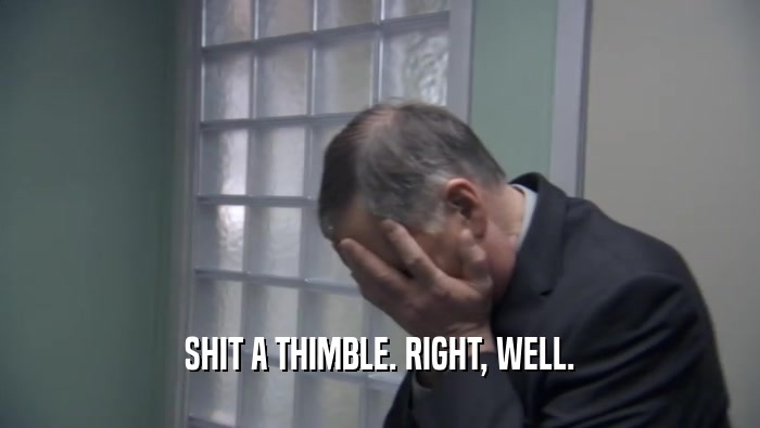 SHIT A THIMBLE. RIGHT, WELL.  
