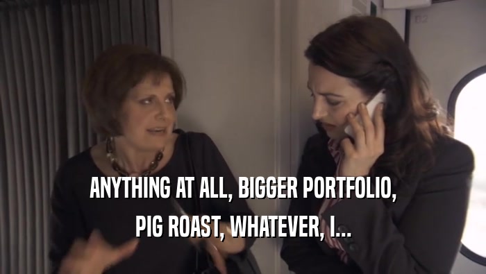 ANYTHING AT ALL, BIGGER PORTFOLIO, PIG ROAST, WHATEVER, I... 