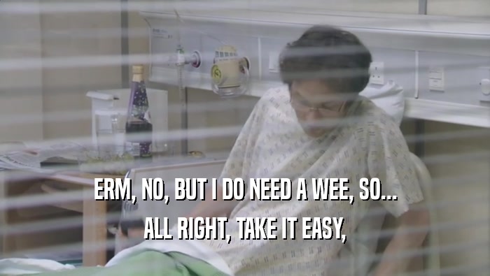 ERM, NO, BUT I DO NEED A WEE, SO... ALL RIGHT, TAKE IT EASY, 