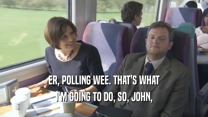 ER, POLLING WEE. THAT'S WHAT I'M GOING TO DO, SO, JOHN, 
