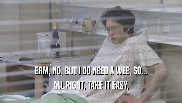 ERM, NO, BUT I DO NEED A WEE, SO... ALL RIGHT, TAKE IT EASY, 