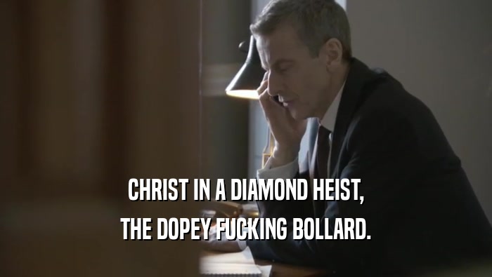 CHRIST IN A DIAMOND HEIST,
 THE DOPEY FUCKING BOLLARD.
 