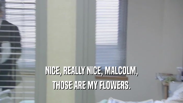 NICE, REALLY NICE, MALCOLM, THOSE ARE MY FLOWERS. 