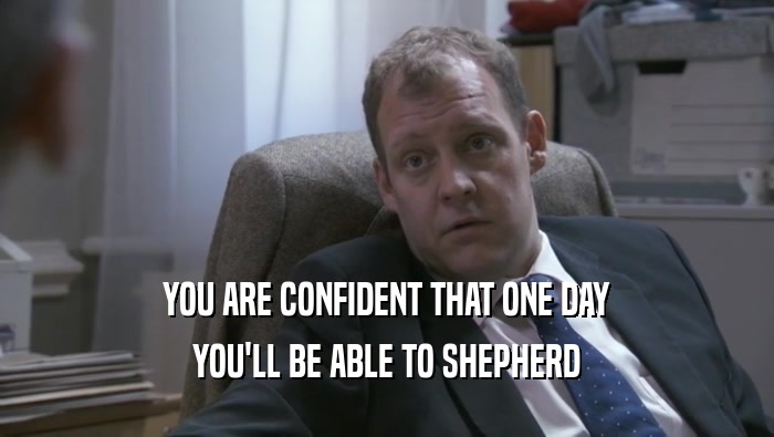 YOU ARE CONFIDENT THAT ONE DAY YOU'LL BE ABLE TO SHEPHERD YOU'LL BE ABLE TO SHEPHERD