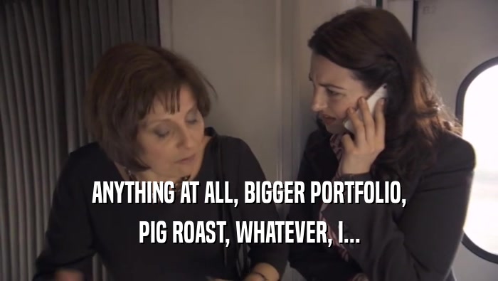 ANYTHING AT ALL, BIGGER PORTFOLIO, PIG ROAST, WHATEVER, I... 