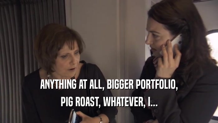 ANYTHING AT ALL, BIGGER PORTFOLIO, PIG ROAST, WHATEVER, I... 
