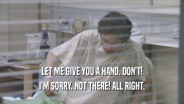 LET ME GIVE YOU A HAND. DON'T! I'M SORRY. NOT THERE! ALL RIGHT. 