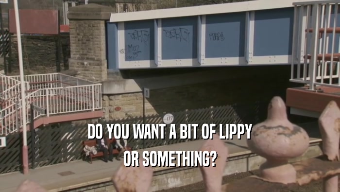 DO YOU WANT A BIT OF LIPPY OR SOMETHING? 