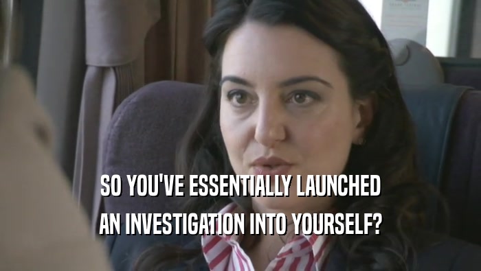SO YOU'VE ESSENTIALLY LAUNCHED AN INVESTIGATION INTO YOURSELF? 