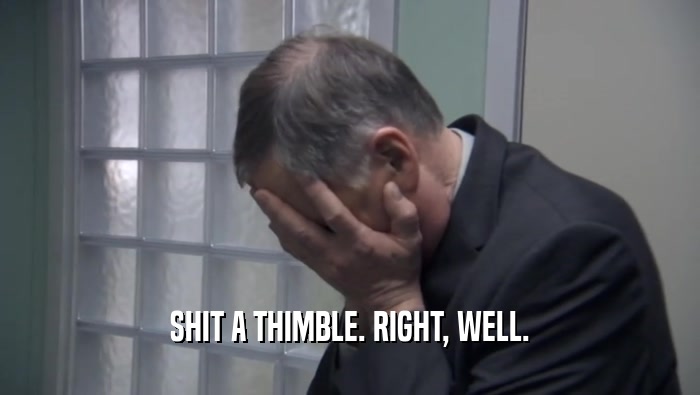 SHIT A THIMBLE. RIGHT, WELL.  