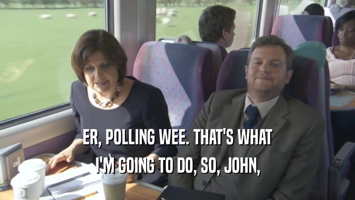 ER, POLLING WEE. THAT'S WHAT I'M GOING TO DO, SO, JOHN, 