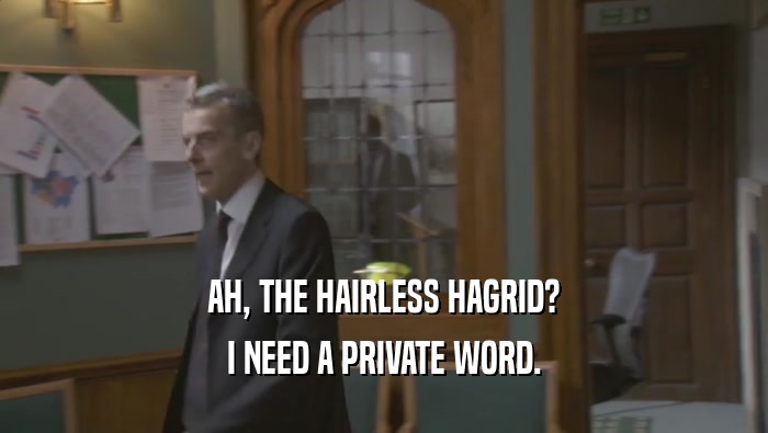AH, THE HAIRLESS HAGRID? I NEED A PRIVATE WORD. I NEED A PRIVATE WORD.
