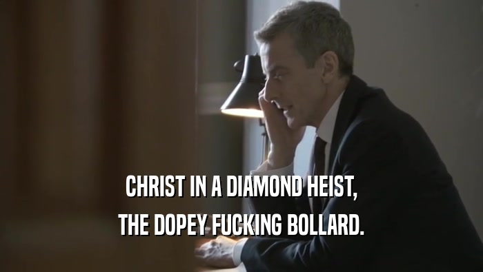 CHRIST IN A DIAMOND HEIST,
 THE DOPEY FUCKING BOLLARD.
 