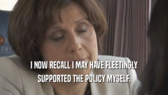 I NOW RECALL I MAY HAVE FLEETINGLY SUPPORTED THE POLICY MYSELF. 