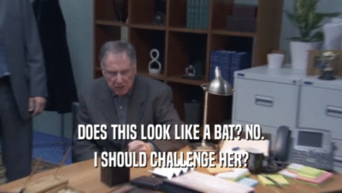 DOES THIS LOOK LIKE A BAT? NO. I SHOULD CHALLENGE HER? I SHOULD CHALLENGE HER?