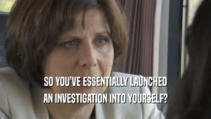 SO YOU'VE ESSENTIALLY LAUNCHED AN INVESTIGATION INTO YOURSELF? 