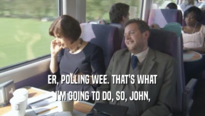 ER, POLLING WEE. THAT'S WHAT I'M GOING TO DO, SO, JOHN, 