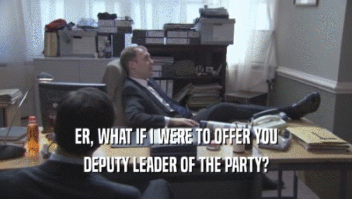 ER, WHAT IF I WERE TO OFFER YOU DEPUTY LEADER OF THE PARTY? 