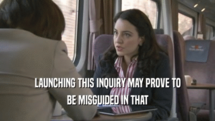 LAUNCHING THIS INQUIRY MAY PROVE TO BE MISGUIDED IN THAT 