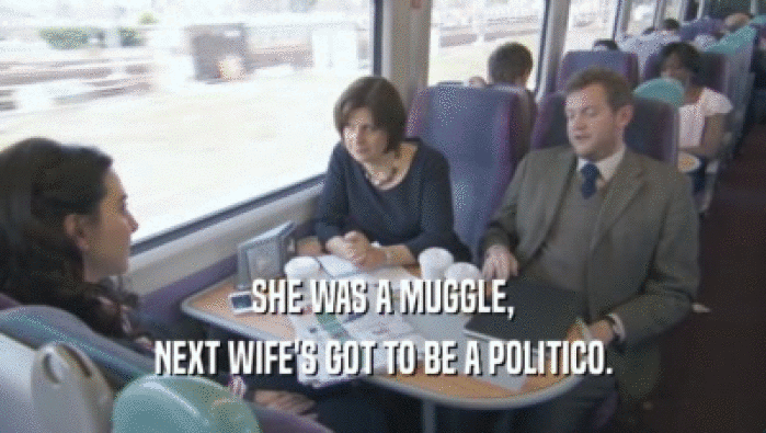 SHE WAS A MUGGLE,
 NEXT WIFE'S GOT TO BE A POLITICO.
 