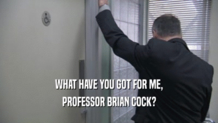 WHAT HAVE YOU GOT FOR ME, PROFESSOR BRIAN COCK? 