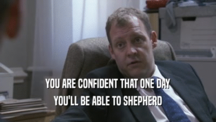 YOU ARE CONFIDENT THAT ONE DAY
 YOU'LL BE ABLE TO SHEPHERD
 YOU'LL BE ABLE TO SHEPHERD
