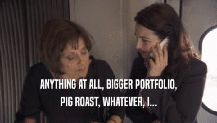 ANYTHING AT ALL, BIGGER PORTFOLIO, PIG ROAST, WHATEVER, I... 