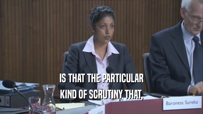 IS THAT THE PARTICULAR KIND OF SCRUTINY THAT, 