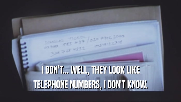 I DON'T... WELL, THEY LOOK LIKE TELEPHONE NUMBERS, I DON'T KNOW. 