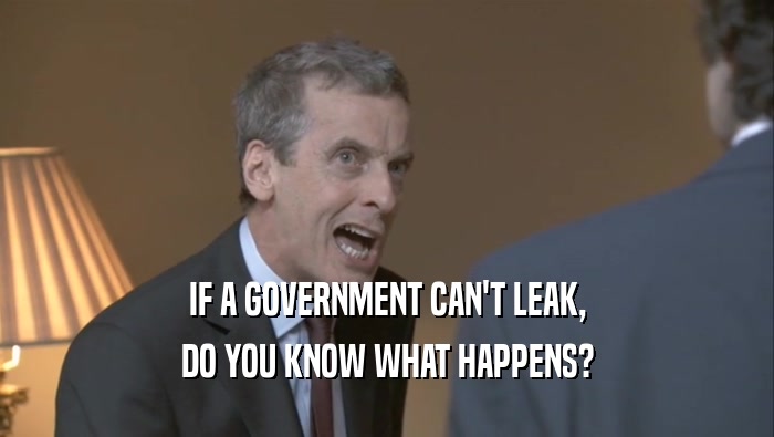 IF A GOVERNMENT CAN'T LEAK, DO YOU KNOW WHAT HAPPENS? 
