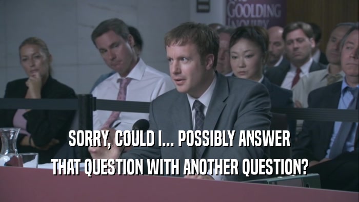 SORRY, COULD I... POSSIBLY ANSWER THAT QUESTION WITH ANOTHER QUESTION? 