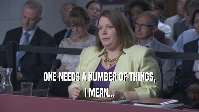 ONE NEEDS A NUMBER OF THINGS, I MEAN... 