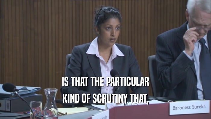 IS THAT THE PARTICULAR KIND OF SCRUTINY THAT, 