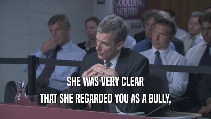 SHE WAS VERY CLEAR THAT SHE REGARDED YOU AS A BULLY, 