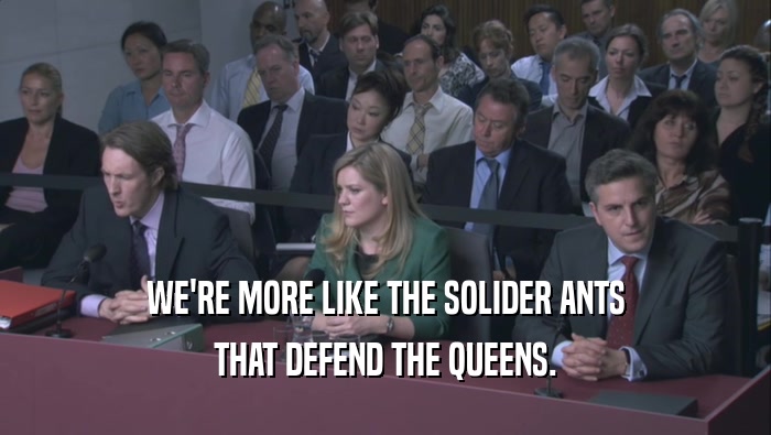 WE'RE MORE LIKE THE SOLIDER ANTS THAT DEFEND THE QUEENS. 