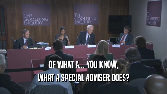 OF WHAT A... YOU KNOW, WHAT A SPECIAL ADVISER DOES? 