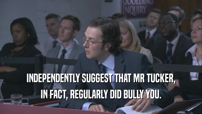 INDEPENDENTLY SUGGEST THAT MR TUCKER, IN FACT, REGULARLY DID BULLY YOU. 