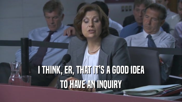 I THINK, ER, THAT IT'S A GOOD IDEA TO HAVE AN INQUIRY 