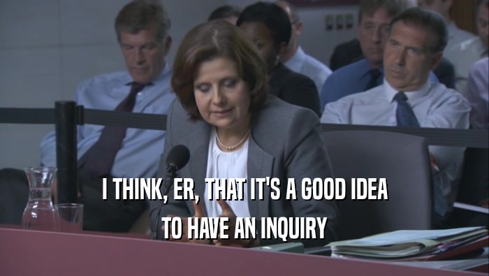 I THINK, ER, THAT IT'S A GOOD IDEA TO HAVE AN INQUIRY 