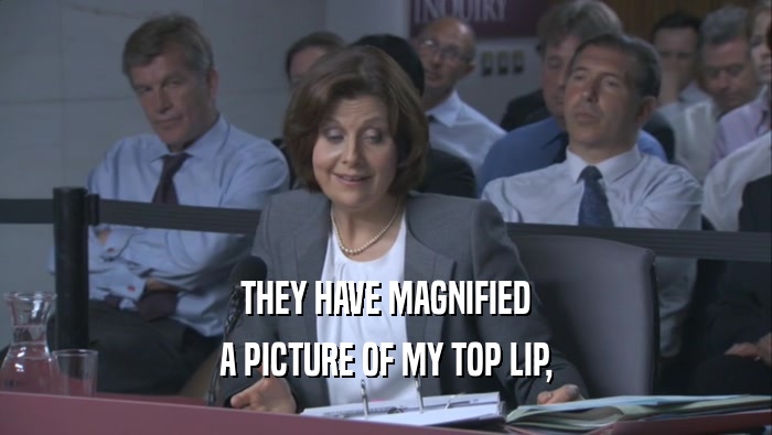 THEY HAVE MAGNIFIED A PICTURE OF MY TOP LIP, 