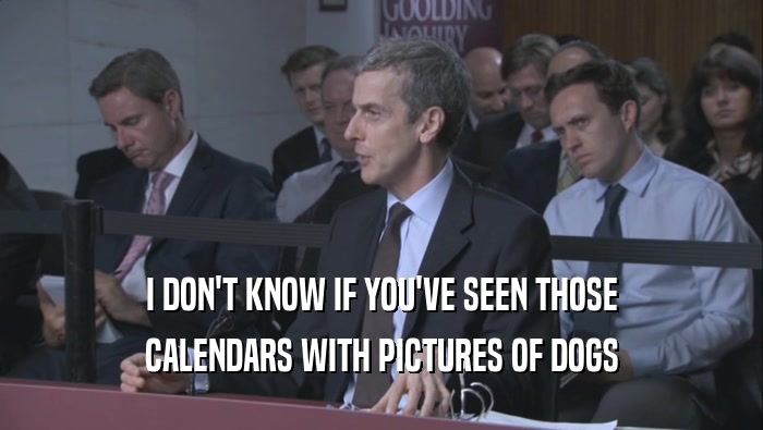 I DON'T KNOW IF YOU'VE SEEN THOSE CALENDARS WITH PICTURES OF DOGS CALENDARS WITH PICTURES OF DOGS