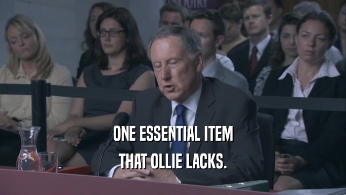 ONE ESSENTIAL ITEM THAT OLLIE LACKS. 