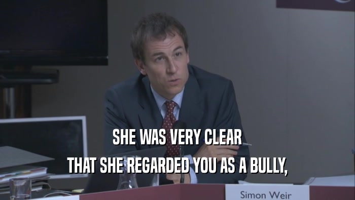 SHE WAS VERY CLEAR THAT SHE REGARDED YOU AS A BULLY, 