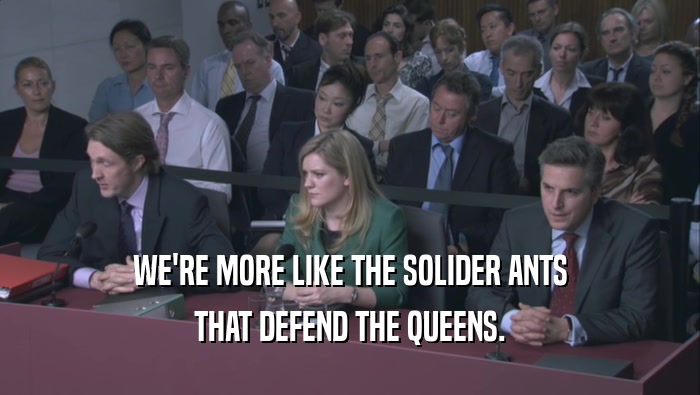WE'RE MORE LIKE THE SOLIDER ANTS THAT DEFEND THE QUEENS. 