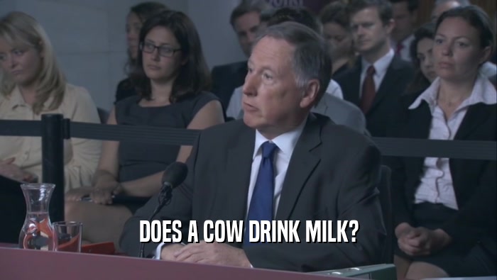 DOES A COW DRINK MILK?  